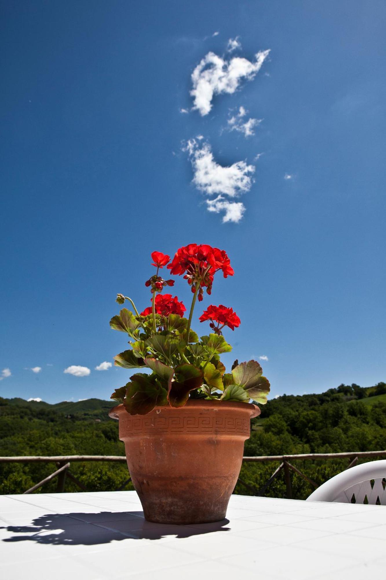 Relais Parco Del Subasio Villa Piano Delle Pieve Kültér fotó