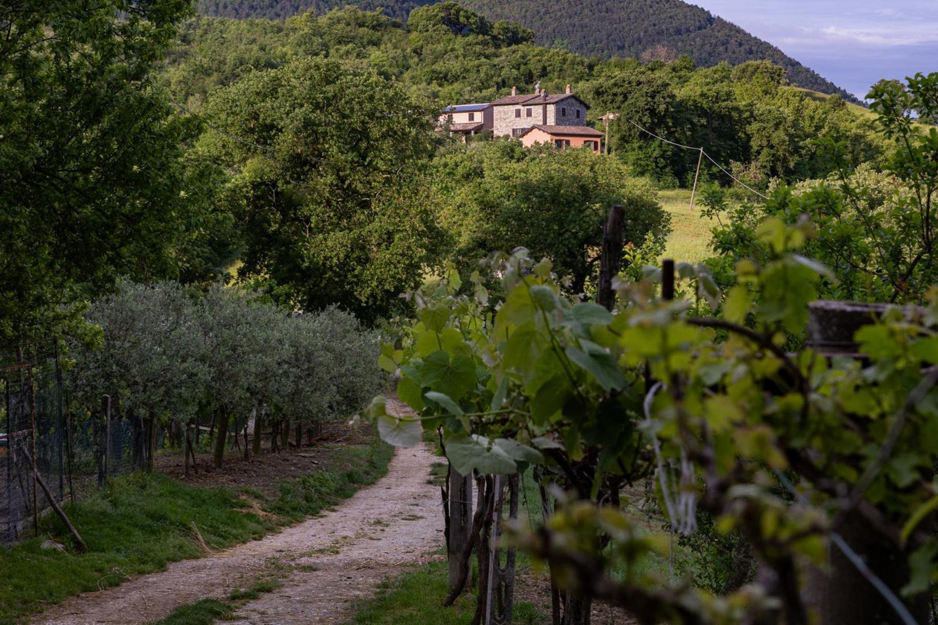 Relais Parco Del Subasio Villa Piano Delle Pieve Kültér fotó